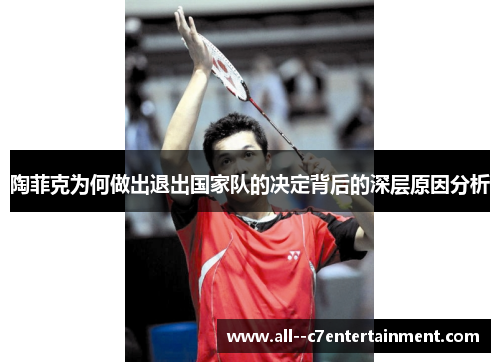 陶菲克为何做出退出国家队的决定背后的深层原因分析 陶菲克为何做出退出国家队的决定背后的深层原因分析