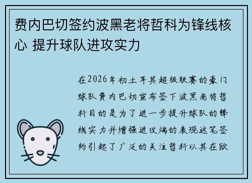 费内巴切签约波黑老将哲科为锋线核心 提升球队进攻实力